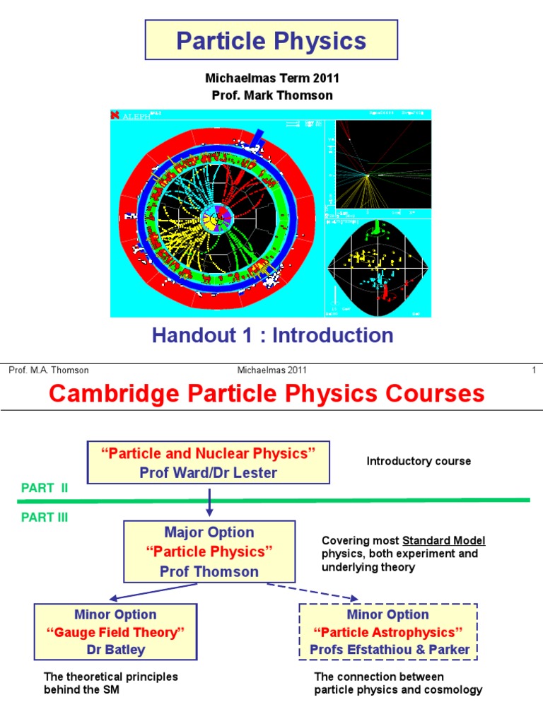 Introduction to Particle Physics Course | PDF | Standard Model | Wave ...