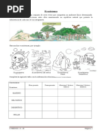 3º Basico - Naturaleza - Anexo Ecosistema