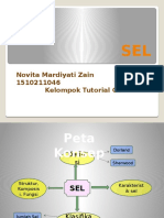 Sel: Struktur, Komposisi, Fungsi dan Klasifikasi