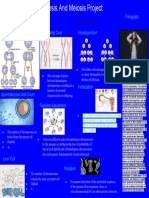 Meiosis Kerlin