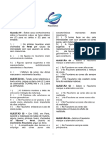 Fauvismo EF e EM PDF