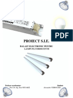 ProiectSIE.pdf