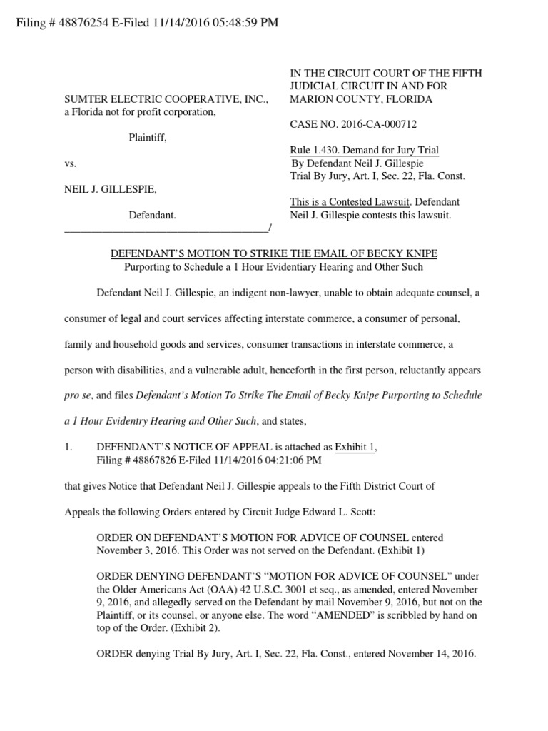 Pro Se Defendant's Motion to Strike | PDF | Fourteenth Amendment To The ...