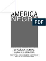 AmericaNegra9.pdf