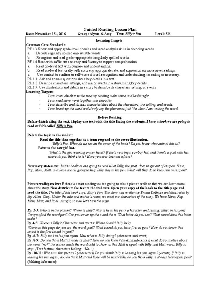 Plan of development essay example picture