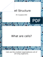 Cell Structure 1