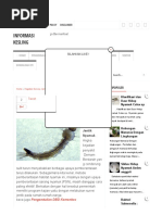 Kegiatan Survei Jentik Nyamuk _ Informasi Keslinga