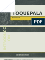 Toquepala Copia