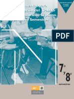 lineamientos_organizaciÃ³n_sec.pdf