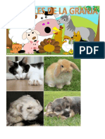 Animales Domesticos y Animales de Granja