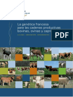 Libro Genetica bovina Francesa