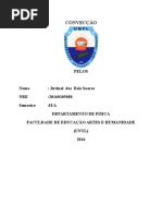 RELATORIO PRATIC1 CONVECCAO.docx