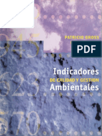 Indicadores-cal-y-gest-ambientales-Gross-Hajek.pdf