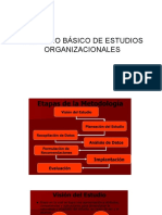 Proceso Básico de Estudios Organizacionales