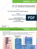 Practica Empresarial