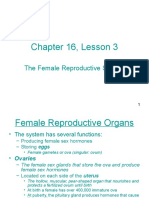 Chapter 16_ Lesson 3