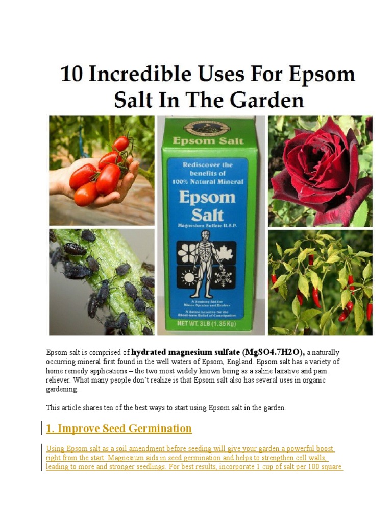 Epsom Salt Sodium Chloride Soil