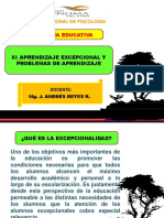 Aprendizaje Excep y Problemas de Aprendizaje