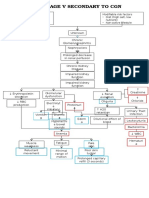 Pathophysiology CKD Secondary To CGN