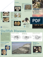 DiseasesGuide PDF