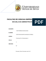 Informe Final de Practica Pre Profecionales en Administracion Uss