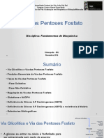 Aula Ciclo Das Pentoses Fosfato