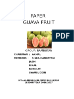 Paper Guava Fruit: Group: Rambutan