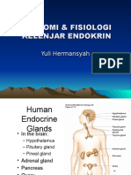 Anatomi & Fisiologi Kel Endokrin