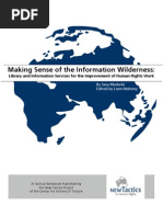 Making Sense of the Information Wilderness (English)