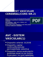 Accident Vascular Cerebral Curs Nr 2