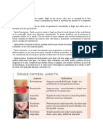 Tipos de tejidos cicatrizales: eritematoso, enrojecido, granulatorio, palido, esfacelado y necrótico