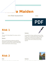 Amara Maiden: Risk Assessment