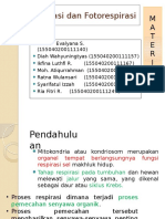 Respirasi Dan Fotorespirasi
