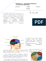 Ciencias Naturales - Guia 7 - 4 Basico