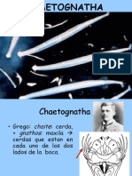 Chagtonatha