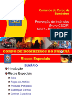 mod7-Riscos Especiais.pdf