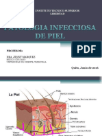 Infecciones de Piel