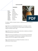 Cultivo de Piña