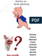 1 Intro Zootecnia Porcina VET