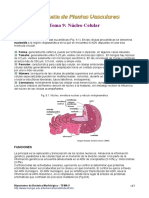 tema9 (1).pdf