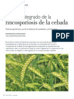 Rincosporiosis en Cebada