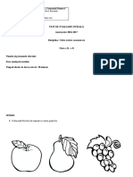 Test de Evaluare Iniţială CSC