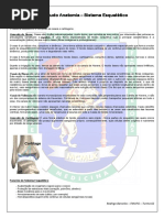 Roteiro de Estudo Anatomia – Sistema Esquelético.pdf