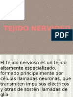 2.2.7.3 Tejido nervioso.docx (1)
