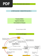 Nitrificación y Desnitrificación3