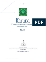 manual_karuna_ii.pdf
