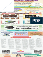 Infografia Del Medio Ambiente