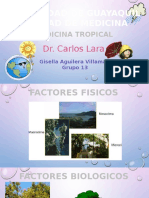 Med Tropical - Factores