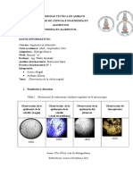 Informe #3