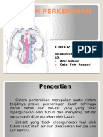 Sistem Perkemihan